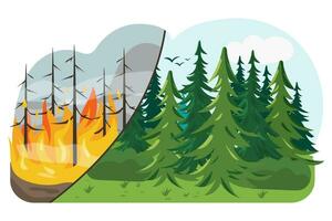 Wald Vor und nach das Feuer. Wald Feuer. Ändern von das Klima. Wald Wiederherstellung. vektor