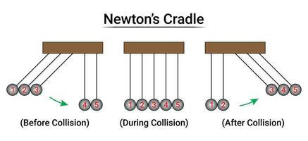 Newtons Wiege Experiment Teil3 vektor