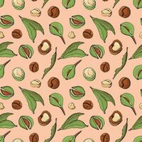 nahtlos Muster mit Macadamia Nüsse. Design zum Stoff, Textil, Hintergrund, Verpackung. vektor