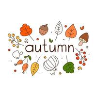 Herbst Verkauf Hintergrund, Banner, Poster oder Flyer Design. Vektor Illustration mit hell schön Blätter.