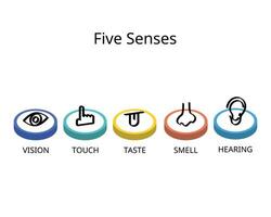 fünf Sinne zum Vision, Hören, berühren, Geruch, und Geschmack vektor