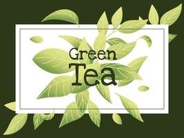 grönt te med blad i ramvektordesign vektor