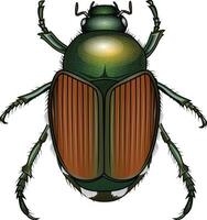 japansk skalbagge eller popillia japonica illustration scarab skalbagge vektor bild