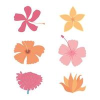 Blumendekoration gedeihen Natur Blumendesign-Ikonen vektor