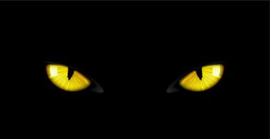 svart panter ögon bakgrund vild katt djur- ansikte vektor