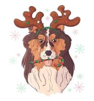 handritad porträtt av colliehund i jultillbehörsvektor. vektor