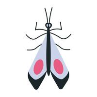 Nacht Motte, Insekt mit Flügel, Karikatur Stil. modisch modern Vektor Illustration isoliert auf Weiß Hintergrund, Hand gezeichnet