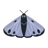 natt fjäril, insekt med vingar, tecknad serie stil. trendig modern vektor illustration isolerat på vit bakgrund, hand dragen