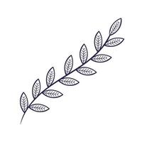 Zweig mit Blättern Natur Pflanzensymbol vektor