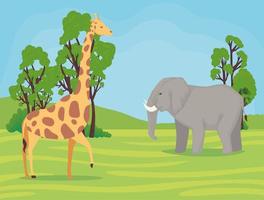 Giraffen und Elefanten afrikanische Tiere wild im Camp vektor