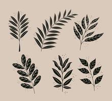 Bündel von sechs Blättern im Boho-Stil, Pflanzen, Natursymbole vektor