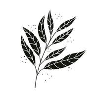 tropisk exotisk gren med svarta blad natur ikon vektor