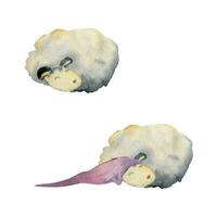 Aquarell Hand gezeichnet Illustration, magisch süß Plüsch Baby Schaf Tiere, Schlafen Hüte, Karikatur Spielzeug Charakter. Single Objekt isoliert auf Weiß Hintergrund. Kinder Kinder Schlafzimmer, Stoff, Bettwäsche drucken vektor