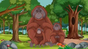orangutang i skog eller regnskog med många träd vektor