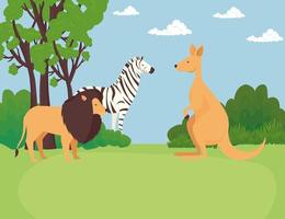 zebra med lejon och kängurudjur vilda vektor