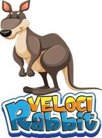 Känguru-Cartoon-Figur mit Velocirabbit-Schriftart-Banner isoliertChampagner vektor