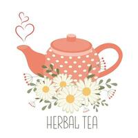 Kräuter- medizinisch Tee, gesund trinken. Teekanne und Tasse mit Kräuter- Tee und Kamille Blumen. Illustration, Vektor