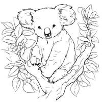 färg sida för vuxna koala vektor