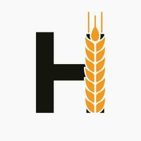 Brief h Weizen Logo zum Landwirtschaft Symbol Vektor Vorlage