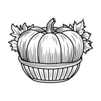 Färbung Seite mit Kürbisse und Sonnenblumen. Herbst Komposition zum Färbung, schwarz und Weiß linear Illustration. vektor