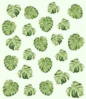 grön blad monstera bakgrund mönster vektor