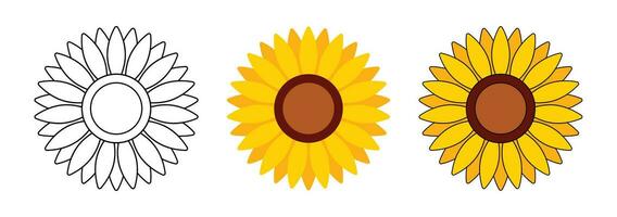 Sonnenblume Kopf Illustration zum Gruß Karte dekorativ und Design. vektor