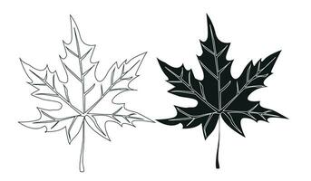 lönn blad målad i svart och vit vektor