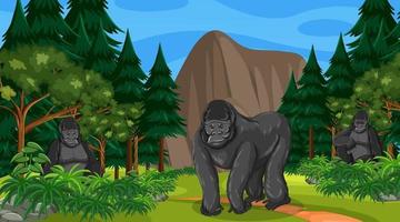 Gorillagruppe lebt in Wald- oder Regenwaldszene mit vielen Bäumen vektor