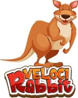 Känguru-Cartoon-Figur mit Velocirabbit-Schriftart-Banner isoliert vektor