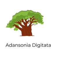 adansonia digitata träd vektor