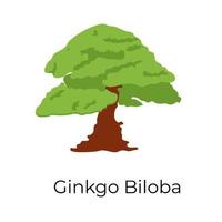 ginkgo biloba träd vektor