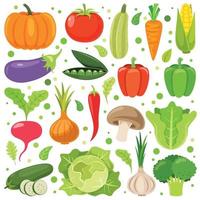 frisches Gemüse für eine gesunde Ernährung vektor
