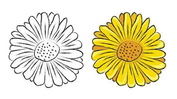 solros hand dragen stil vektor blommor med linje konst illustration