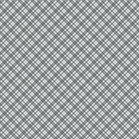 abstrakt geometrisch schwarz diagonal Linie Plaid Muster, perfekt zum Hintergrund, Hintergrund vektor