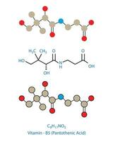 pantothenisch Säure, Vitamin b5 molekular strukturell chemisch Formel Vektor Illustration.