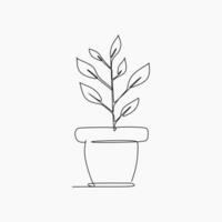 ein Linie Zeichnung von ein Pflanze im ein Topf vektor