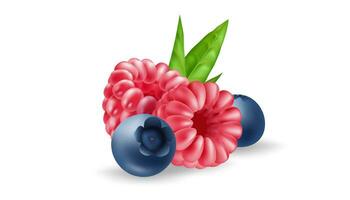 saftig realistisk bär samling av blåbär och hallon. färsk och organisk frukt i 3d vektor illustration. perfekt för hälsa och mat mönster. högen av bär närbild