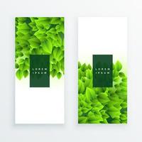 Vektorbanner mit grünen tropischen Blättern auf weißem Hintergrund exotisches botanisches Design für Kosmetik Spas Parfums Schönheitssalons Reisebüros Blumenläden am besten als Hochzeitseinladungskarte vektor