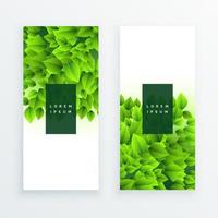 vektor banner med gröna tropiska löv på vit bakgrund exotisk botanisk design för kosmetika spa parfymer skönhetssalonger resebyråer blommor butiker bäst som ett bröllop inbjudningskort