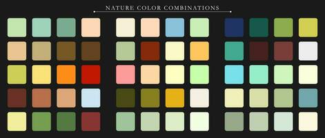 Natur Palette. Trend Farbe Palette leiten Vorlage. ein Beispiel von ein Farbe Palette. Prognose von das Zukunft Farbe Trend. Spiel Farbe Kombinationen. Vektor Grafik. eps 10.