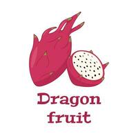 farbig Vektor Illustration von Drachen Frucht. Design Element zum Stoff, Textil, Kleidung, Verpackung Papier, Hintergrund