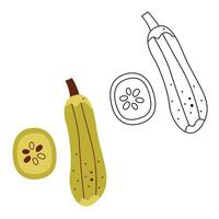 ein klein einstellen mit ein Zucchini und ein Stück von Zucchini. schwarz und Weiß und Farbe Clip Art Vektor Illustration.