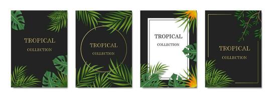 vektor banderoller med grön tropisk löv, djungel. exotisk botanisk lämplig för affischer, hälsning kort, banderoller eller, inbjudningar på en svart bakgrund