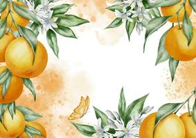 Orange rechteckig Rahmen mit Zitrusfrüchte Früchte. Hand gezeichnet Aquarell Illustration mit Geäst von Mandarinen, Blätter und Blumen. Vorlage zum Gruß Karten oder Hochzeit Einladungen im tropisch Stil vektor