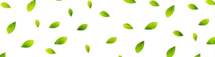 Grunge Sommer- Öko Banner mit Grün Blätter vektor