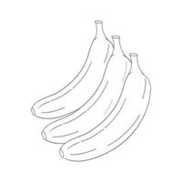 Früchte Färbung Buch Banane Linie Kunst Illustration vektor
