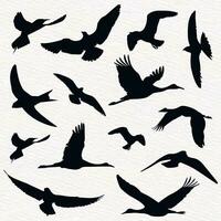 Herde von fliegend Vögel im ein einstellen von Vektor Silhouetten
