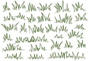 grön gräs. klotter gräs illustration. gräs översikt illustration. uppsättning av handrawn gräs. vektor