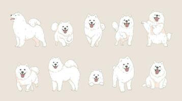 süß Karikatur samoyed Hund einstellen vektor