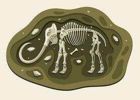 Mammut Dinosaurier Archäologie Fossil Karikatur entdecken im das Boden vektor